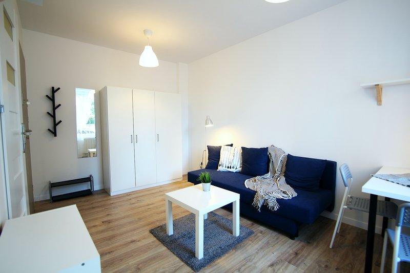 Two studio apartments restoration