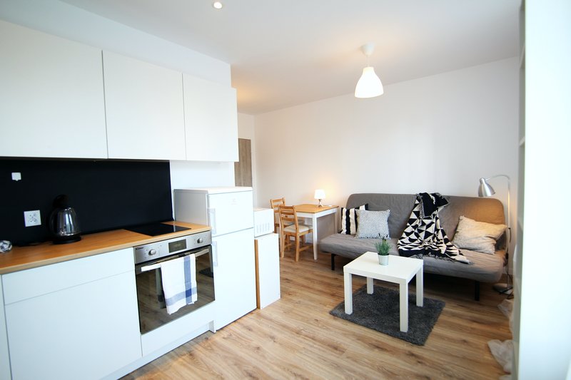 Two studio apartments restoration